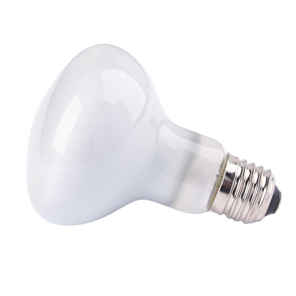 Basking Bulb Halogen - Regulator temperatury dla płazów, lampa grzewcza,