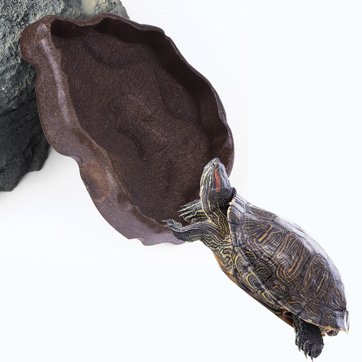 Miseczka z żywicy na karmę dla – Water Dish Reptile recenzja i cena