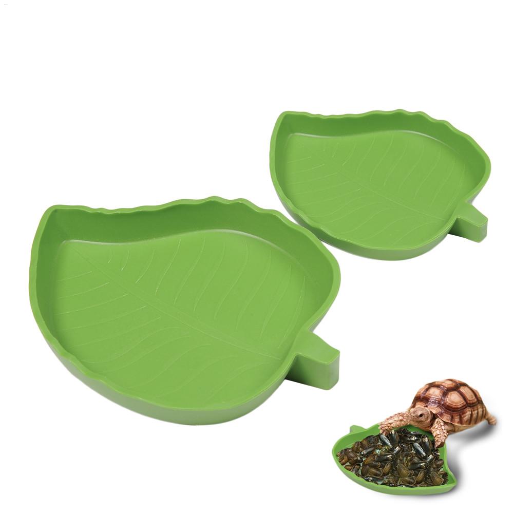 Podajnik dla płazów i gadów, p – Water Dish Reptile recenzja i cena