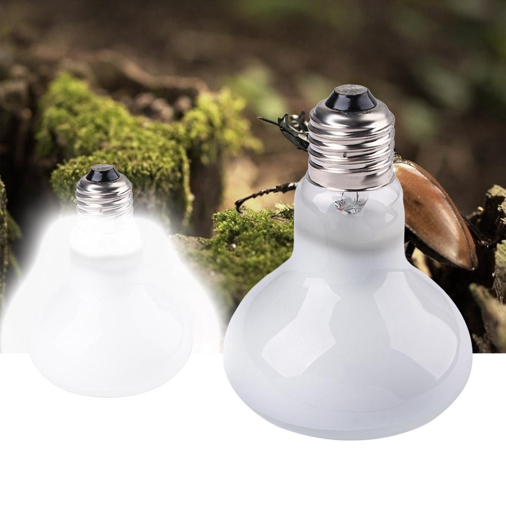 Regulator temperatury dla płaz – Basking Bulb Halogen recenzja i cena