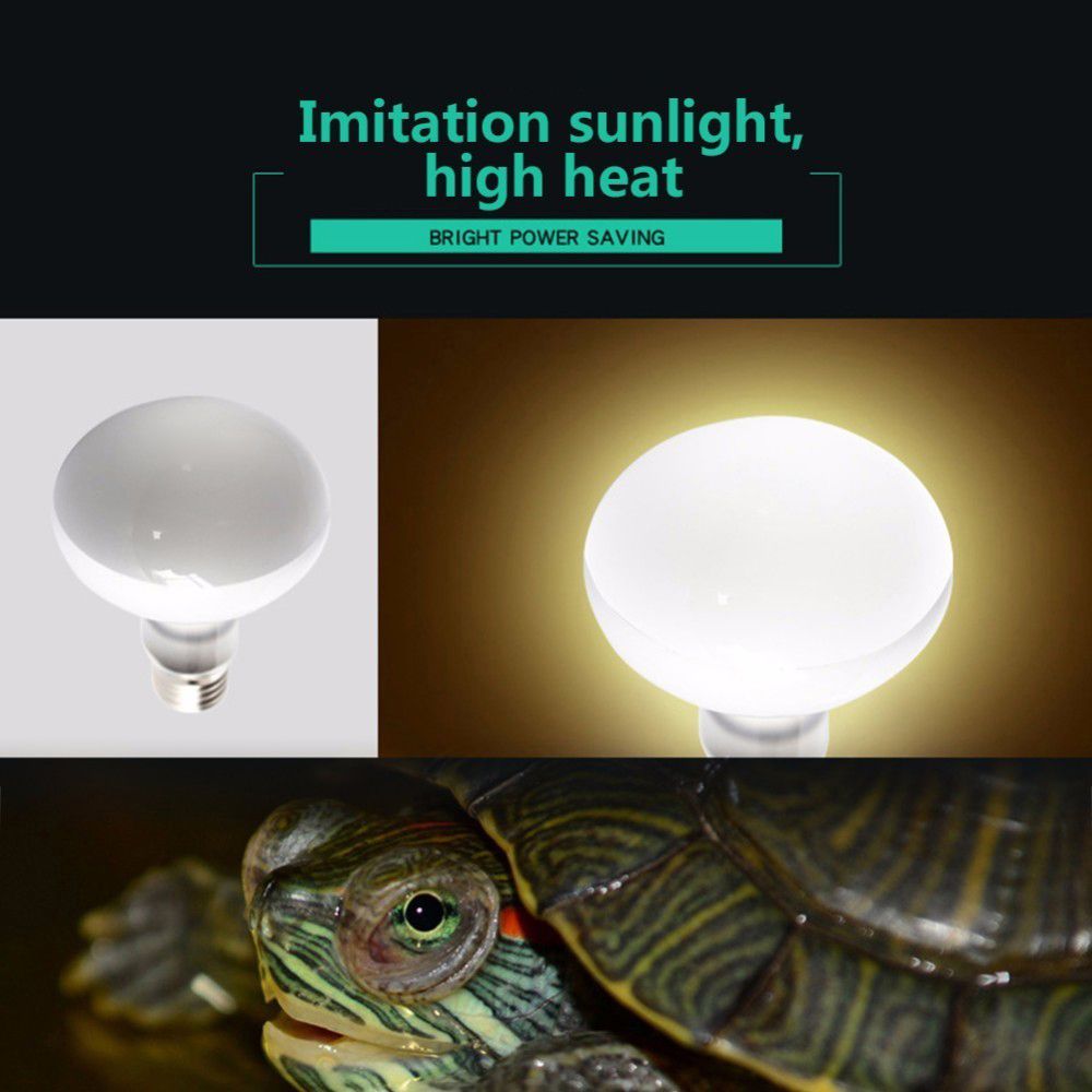 Regulator temperatury dla płaz – Basking Bulb Halogen recenzja i cena