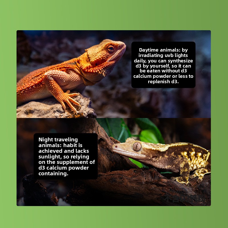 Reptizoo Reptile Calcium Powde – Calcium Powder Reptile recenzja i cena
