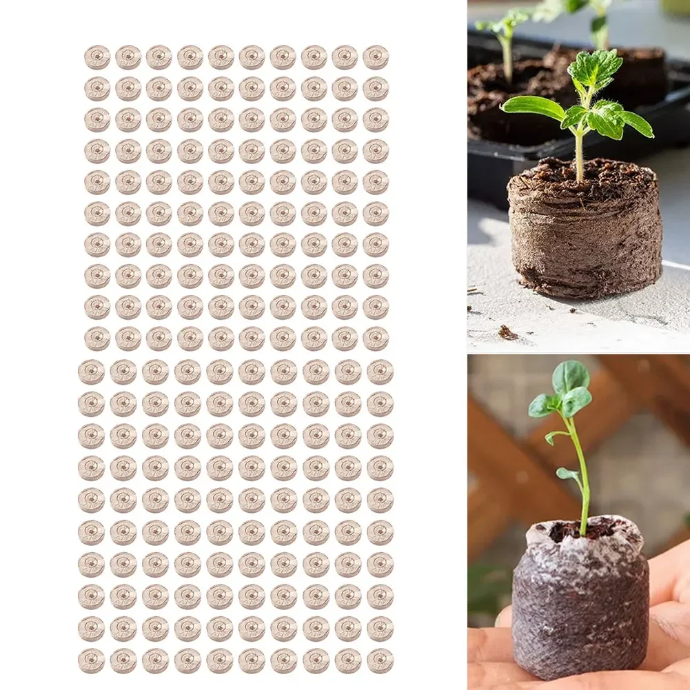 100 szt. Kompresowanych granul – Substrate Coconut Fiber recenzja i cena